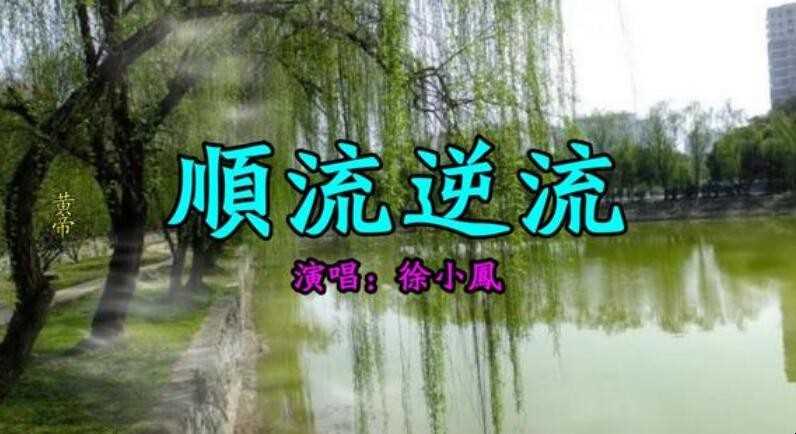 《顺流逆流》的歌词是什么