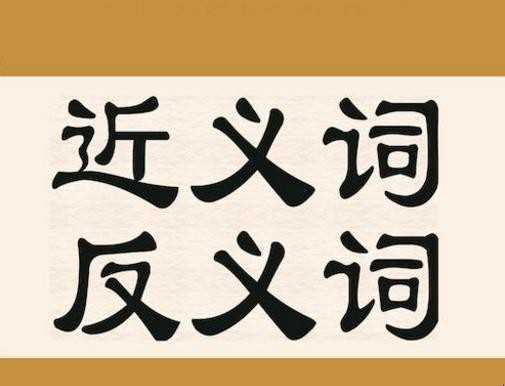 运用的近义词有哪些