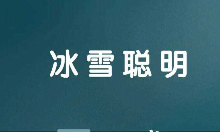 冰雪聪明怎么造句
