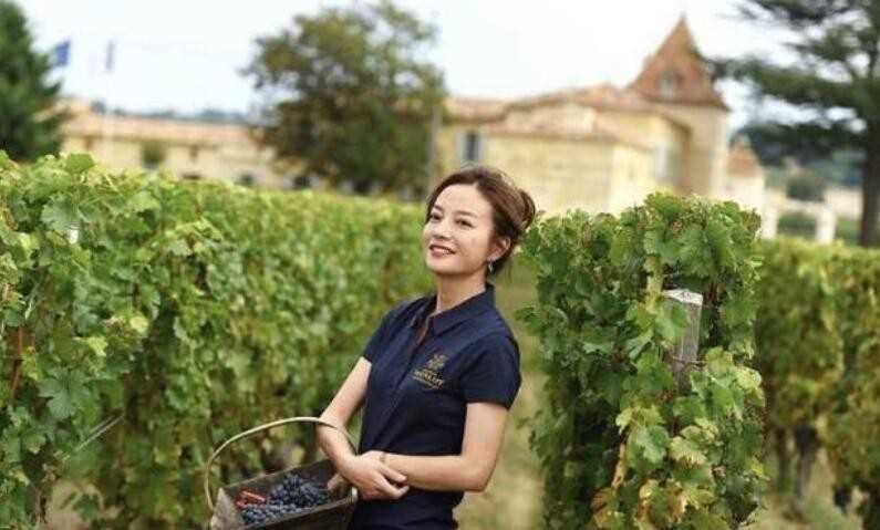 赵薇的酒庄在哪里