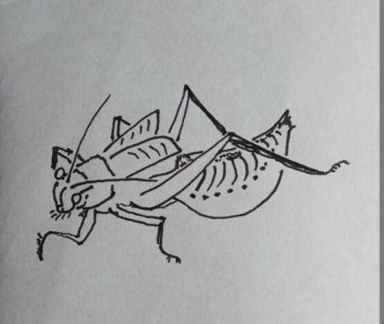 怎样画简笔画蝈蝈