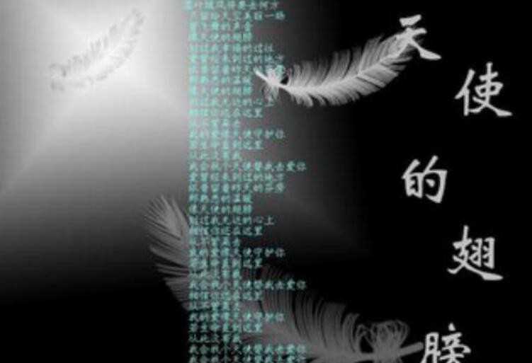 《天使的翅膀》的歌词是什么(天使的翅膀的歌词是什么)
