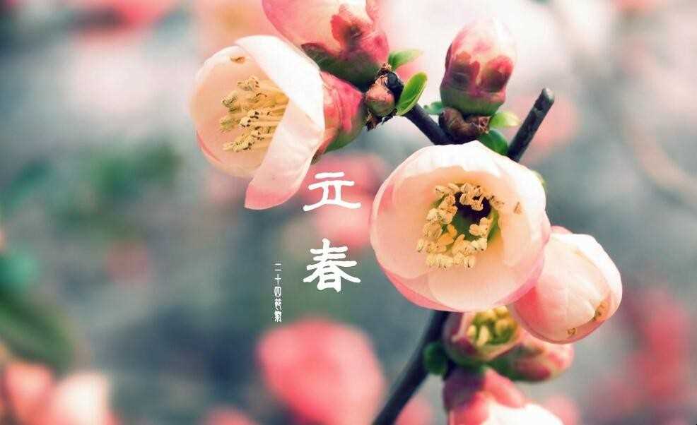 立春