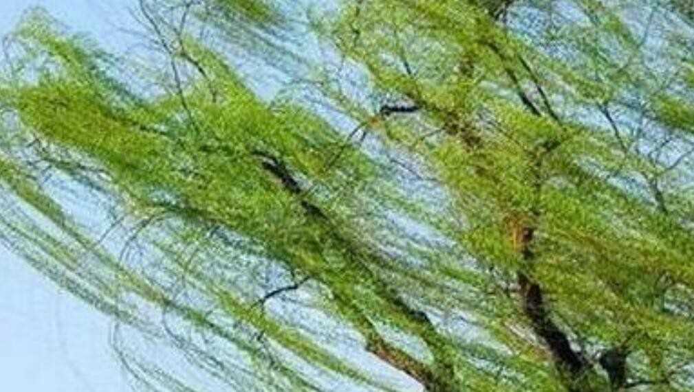 熟知是什么意思