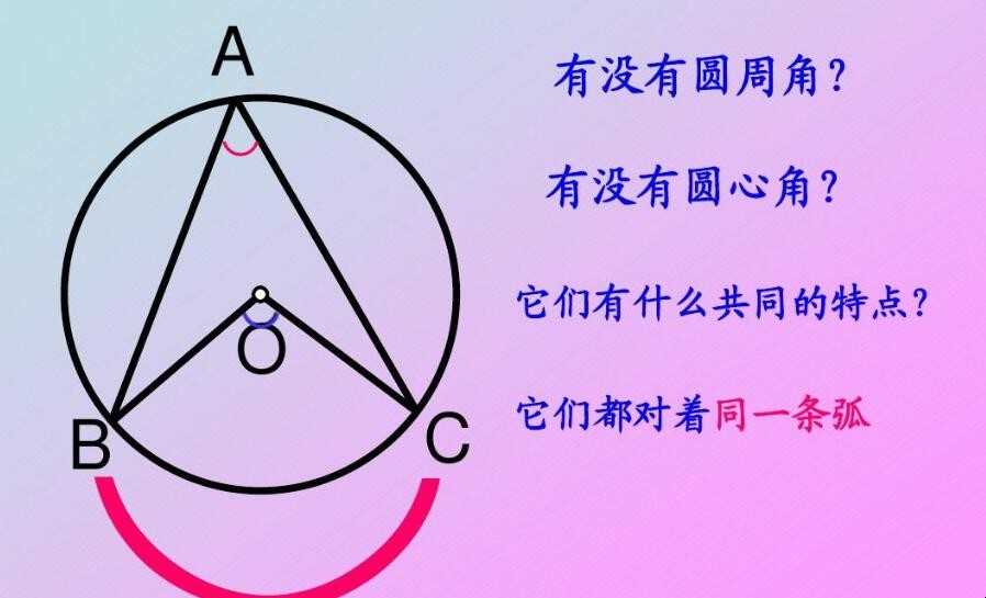 圆心角和圆周角二者的关系是什么