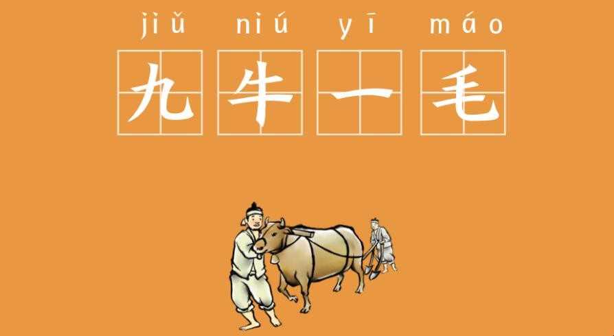 九牛一毛的近义词是什么