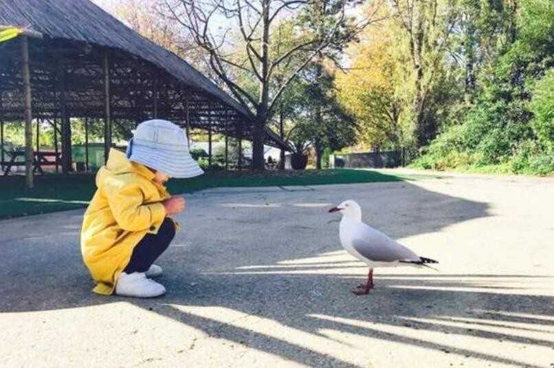 面面相觑的近义词是什么