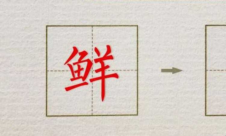 鲜可以组什么词