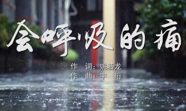 《会呼吸的痛》的歌词是什么