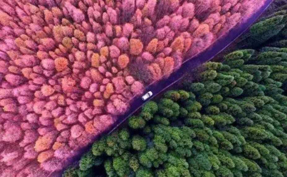 迥然不同