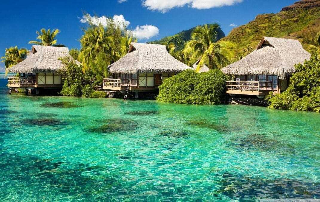 旅游