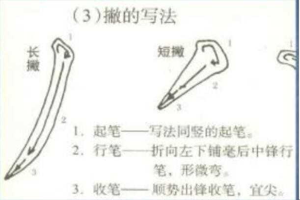 毛笔书法入门教程