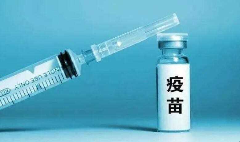 怎么确定疫苗的有效期