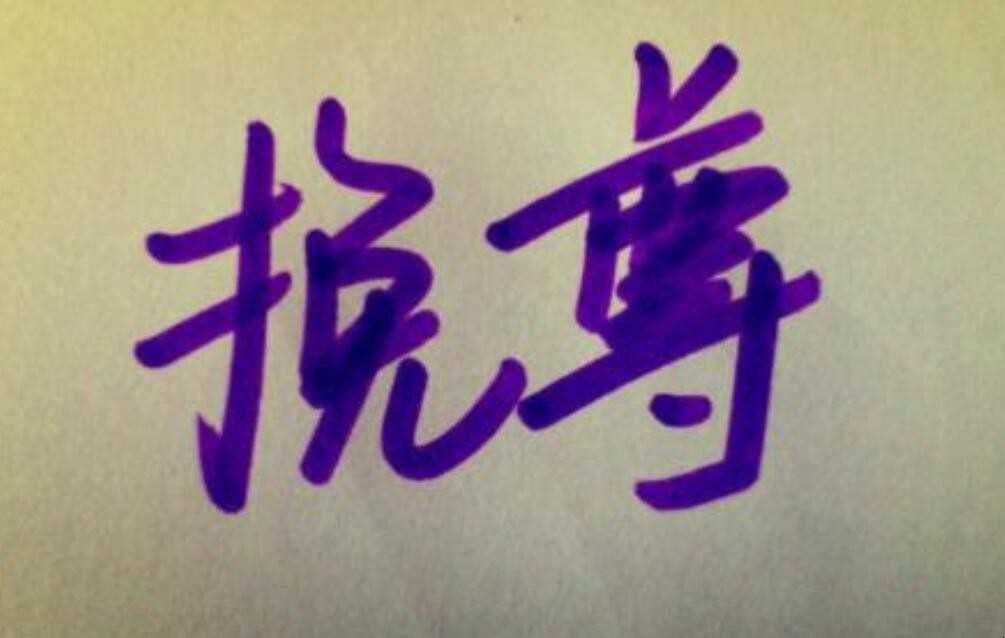 挽尊什么意思