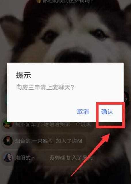 陌陌怎么闲聊