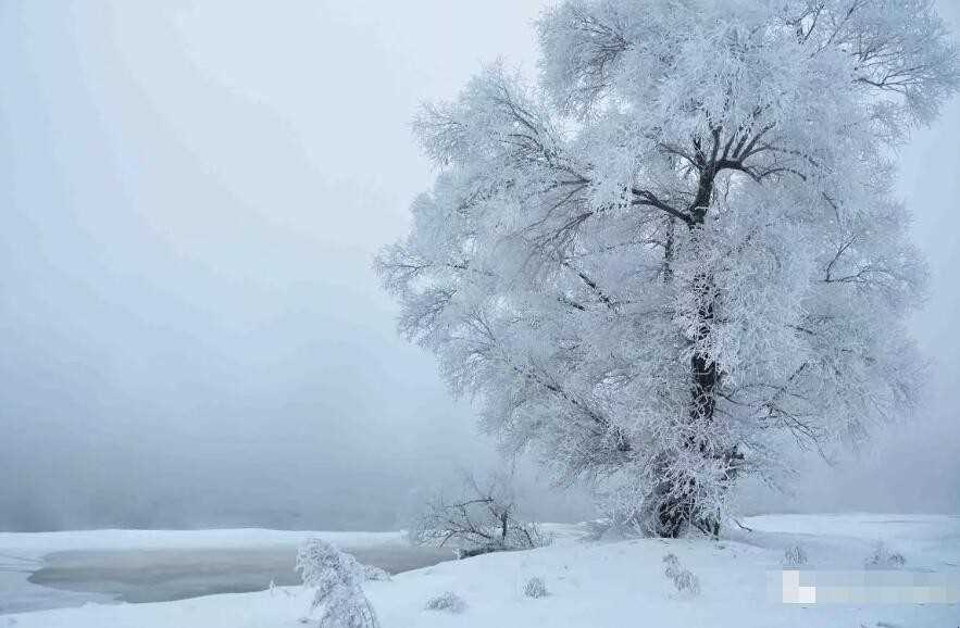 冬雪雪冬小大寒是什么意思