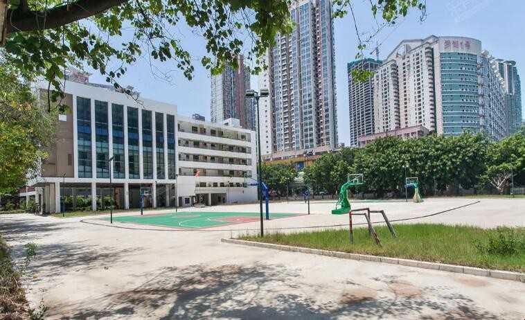 深圳市高级中学在哪儿