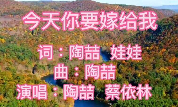 《今天你要嫁给》的歌词是什么