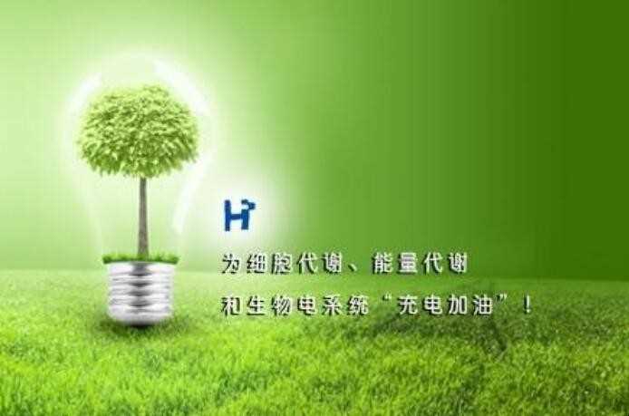 氢的化合价多少钱