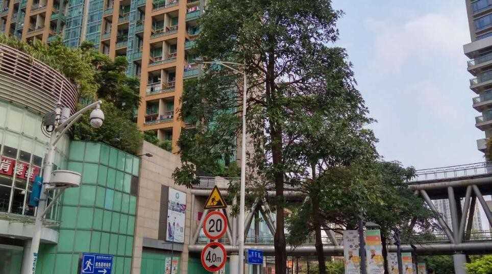 深圳有什么民办院校