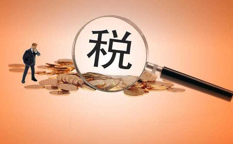 纳税是什么意思