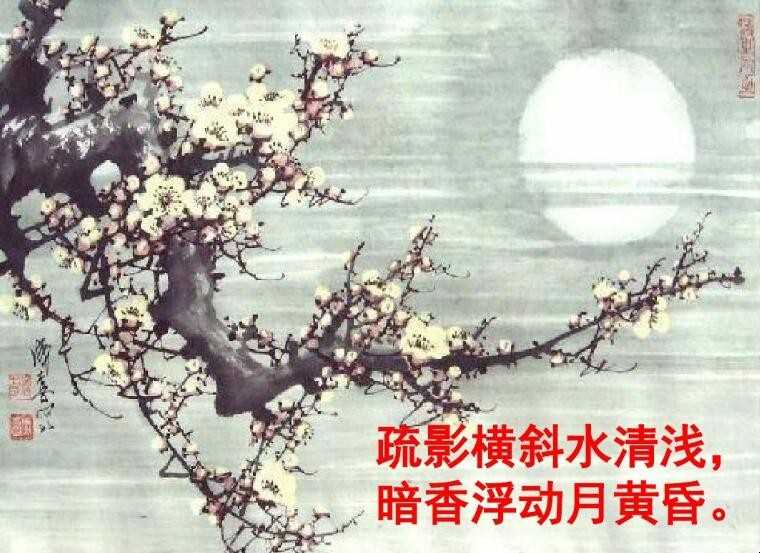 疏影横斜水清浅,暗香浮动月黄昏是什么意思