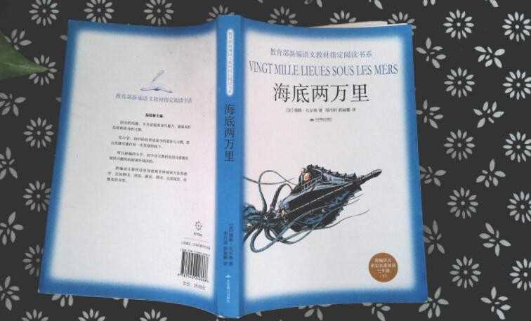《海底两万里》唯美词语有哪些