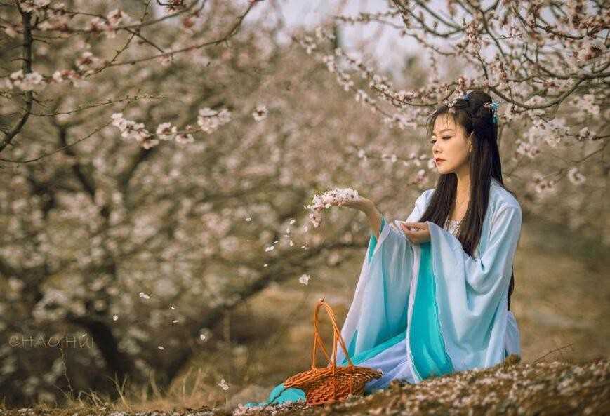 红楼梦的《葬花吟》的歌词是什么