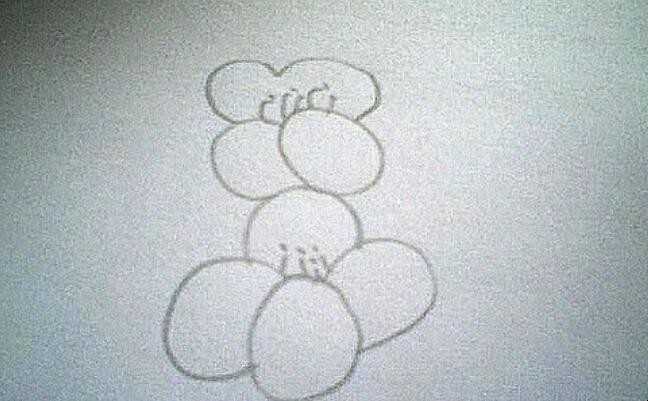 油菜花简笔画怎么画