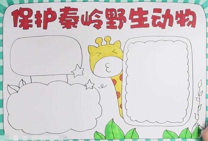 维护秦岭野生动物手抄报怎么画