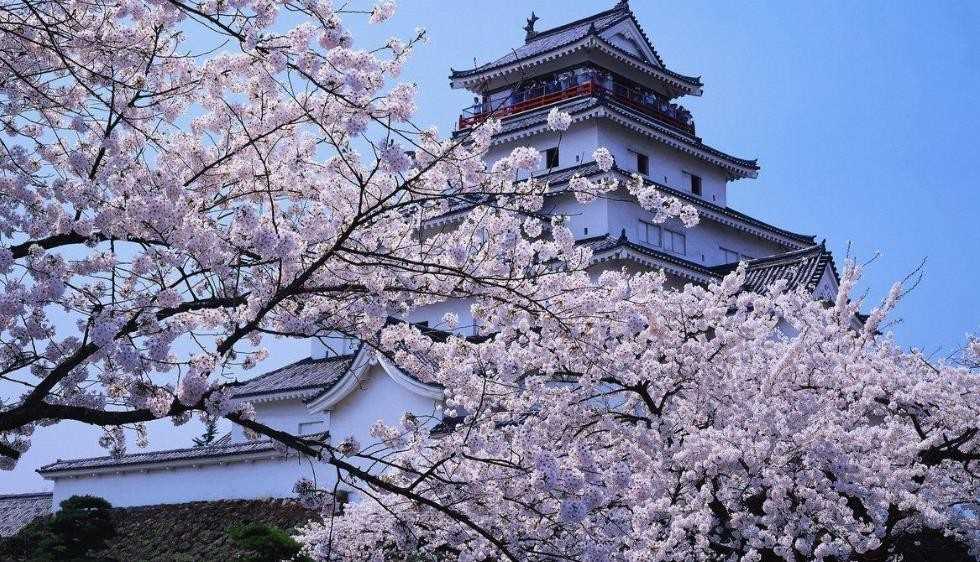 日本