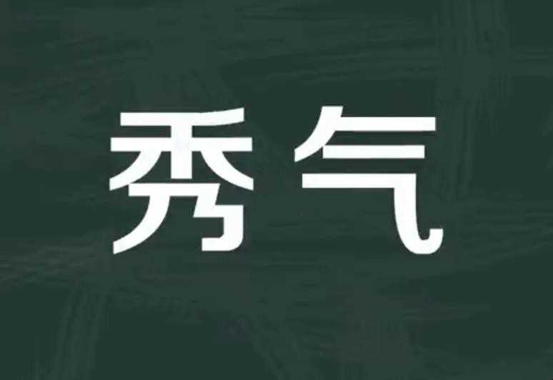 秀气是什么意思