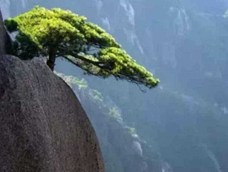 居安思危的近义词是什么