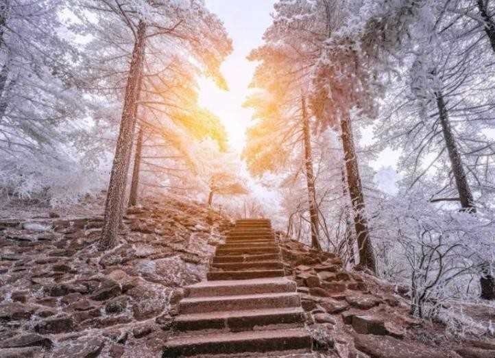 朦胧是什么意思(“暮雨不来春又去,花满地,月朦胧”出于宋贺铸《江城子》,那么)