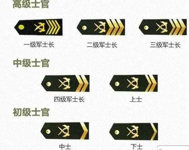 一级军士长是什么级别的干部