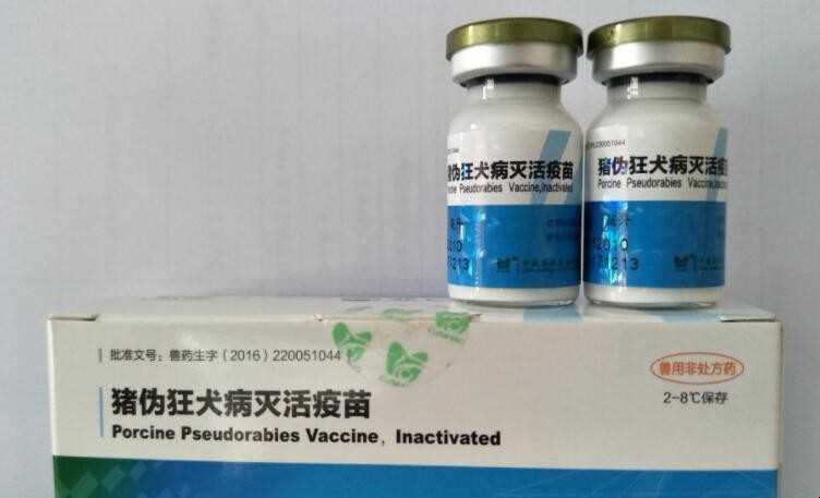 猪伪狂犬病预苗有哪几种