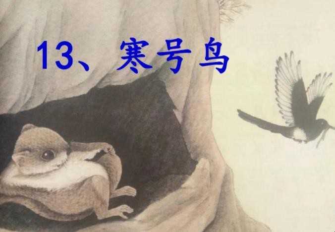 《寒号鸟》