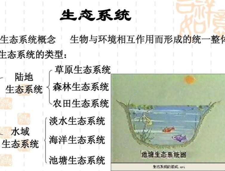 生态系统的功能有什么