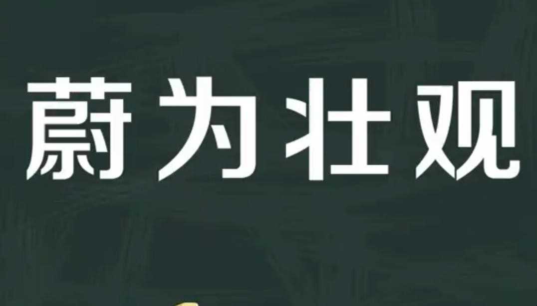 极为壮观的意思是什么