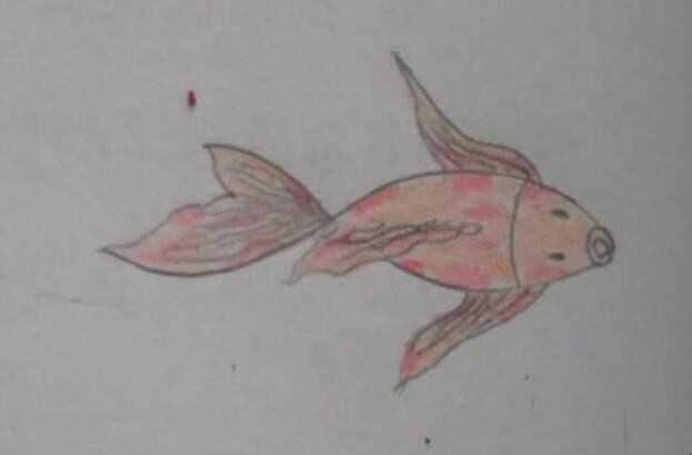 锦鲤简笔画怎么画