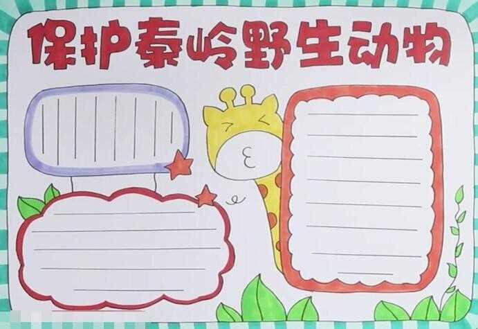 维护秦岭野生动物手抄报怎么画