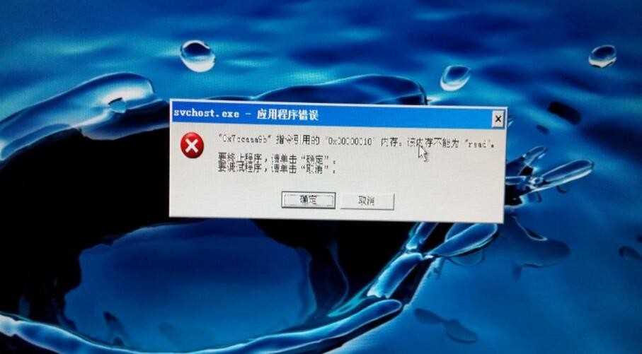 bug中文是什么意思