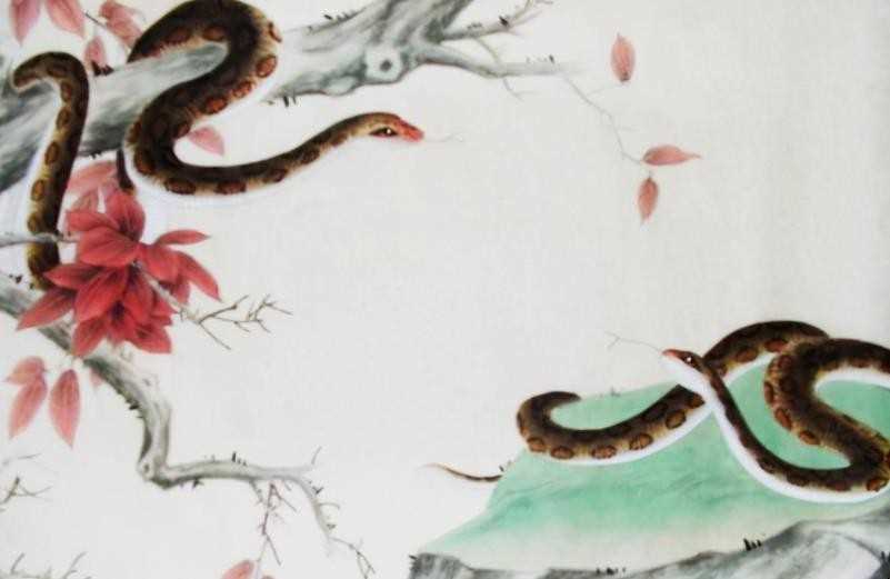 1977年属什么生肖