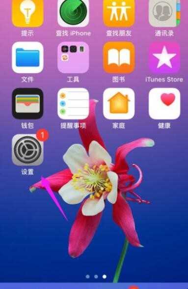 facetime怎么用不了