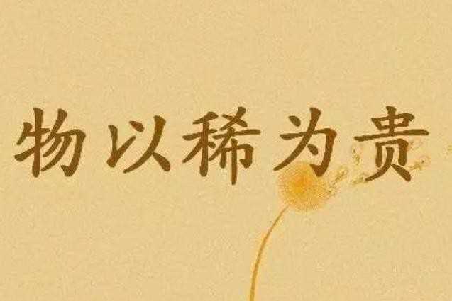 物稀为贵是什么意思