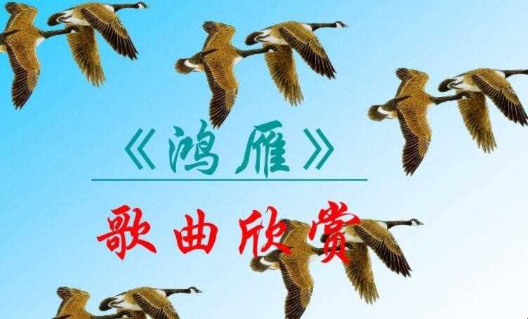 《鸿雁》的歌词是什么