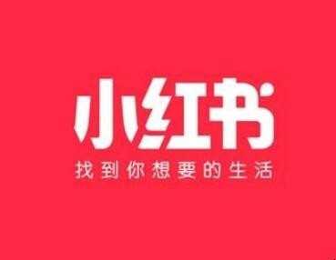 怎样进入小红书网页版