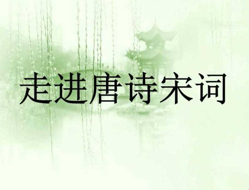 宋词的特点有什么
