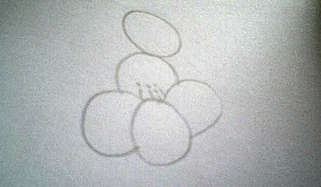 油菜花简笔画怎么画