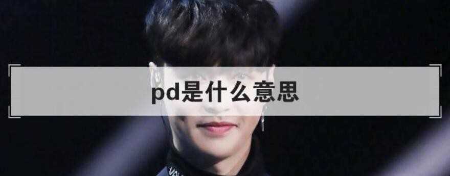 pd是什么意思